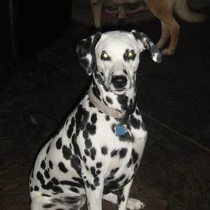 Meet your Posher, Michele